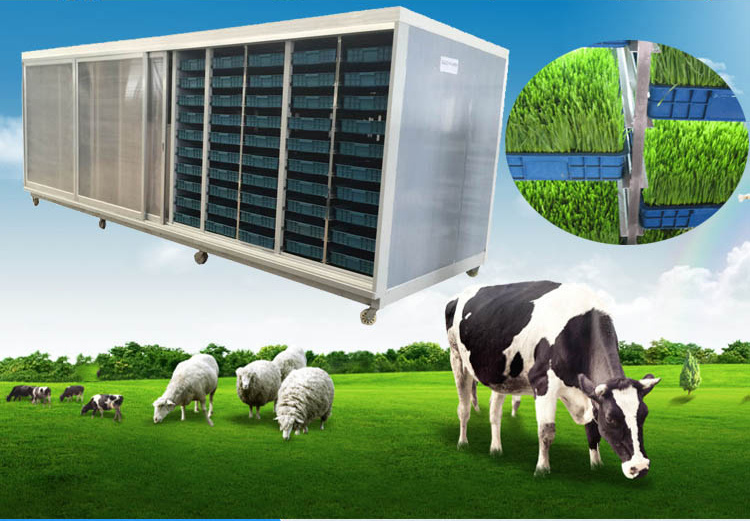 Introduction of hydroponic fodder machine