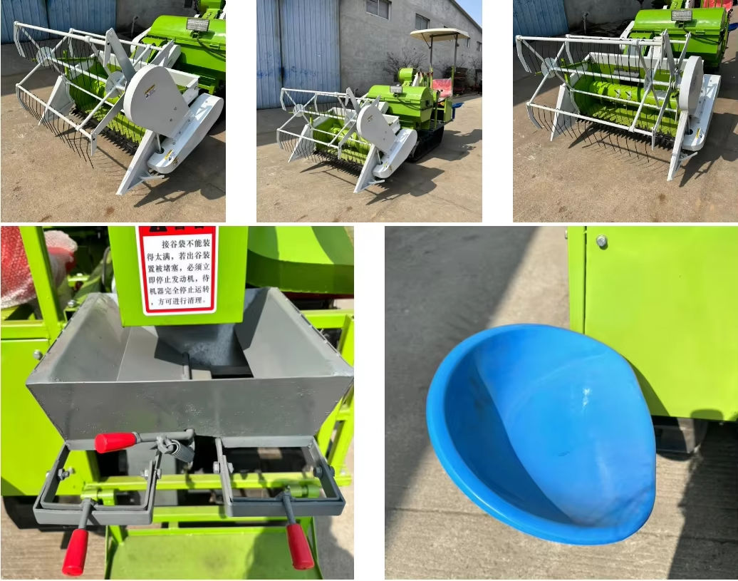 1730187402496269.jpg H1 (1).jpg