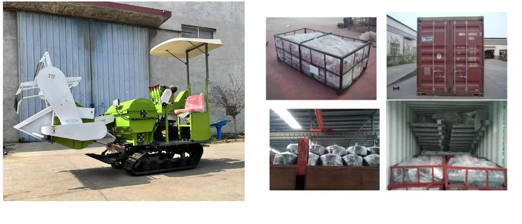 1730187453104867.jpg H1 (2).jpg