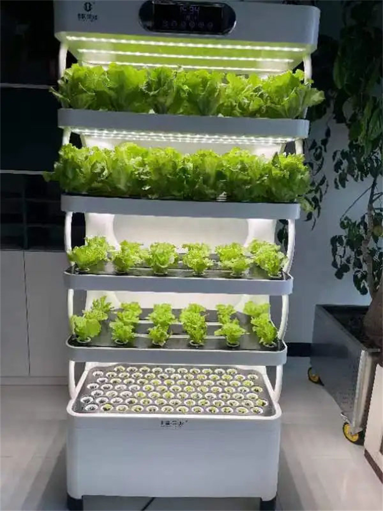 Indoor Use Garden Hydroponic greenhouse growing system for lettuce vegetable